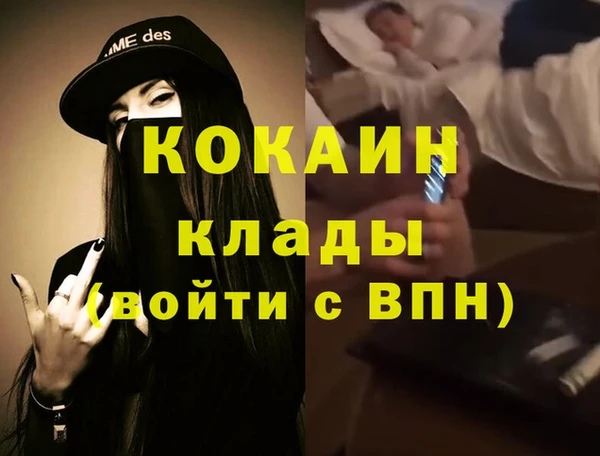 прущие крисы Корсаков