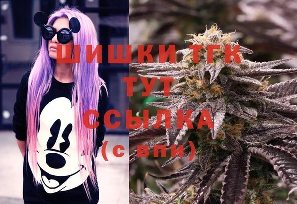 метадон Коряжма