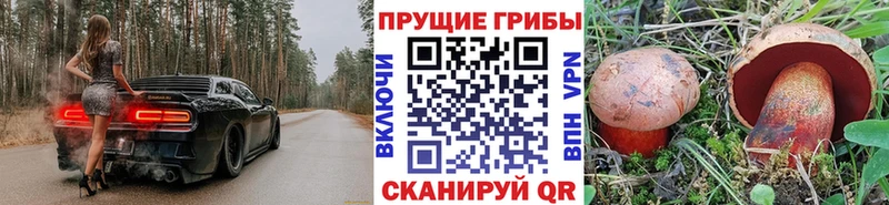 Псилоцибиновые грибы прущие грибы  Купить закладки  Урай 